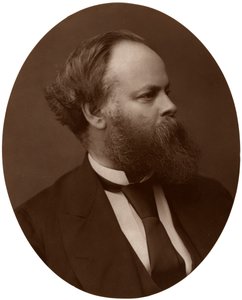Samuel Plimsoll, Esq, MP, britischer liberaler Politiker und Sozialreformer, 1876 von Lock and Whitfield
