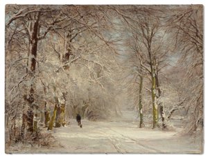 Ein schneebedeckter Weg im Winter
