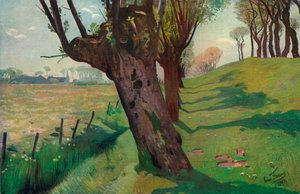 Im flämischen Land, 1902