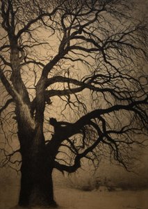 Léon Spilliaert (1881-1946) Baum im Winter von Leon Spilliaert