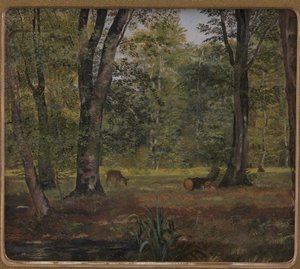 Charlottenlund Wald, nördlich von Kopenhagen
