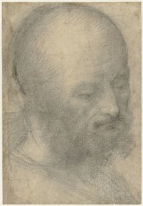 Kopf eines alten Mannes mit Bart von Lorenzo Costa