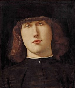 Porträt eines jungen Mannes, 1500 von Lorenzo Lotto