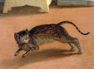 Erschrockene Katze (Detail) von Lorenzo Lotto