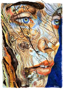 Porträt auf Rissigem Holz von Loretta Van Der Westhuizen