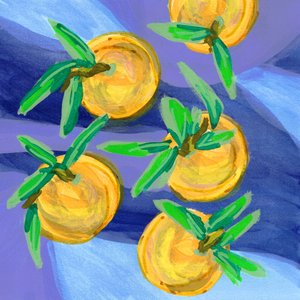 Frische Zitrusorangen