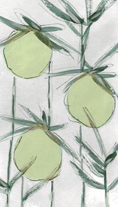 Frische grüne Botanicals