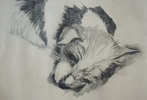 Jack Russel von Lou Gibbs