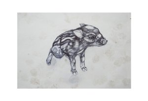 Kleines Schwein, 2015 von Lou Gibbs