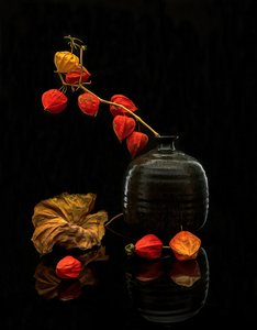 Herbstlaternen Stillleben