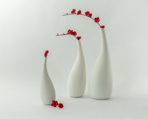 Rote Vasen und Blüten