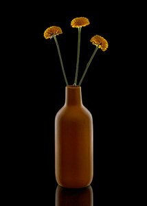 Warme Blumen Braune Vase