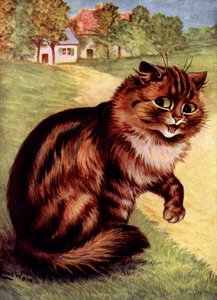 Katze