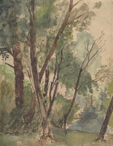 Bäume neben einem Teich, 1853-1878