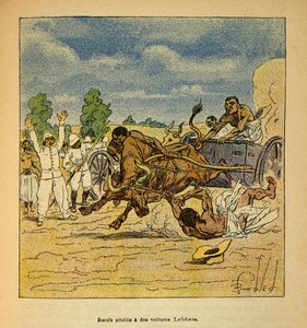 Der Krieg in Madagaskar - Anekdotische Geschichte der französischen Expeditionen von 1885-1895 von Henri Galli, illustriert von Louis Bombled: Ochsen erreicht von Lefebvre-Wagen von Louis Charles Bombled