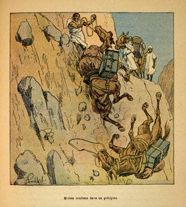 Der Krieg in Madagaskar - Anekdotische Geschichte der französischen Expeditionen von 1885-1895 von Henri Galli, illustriert von Louis Bombled: Maultiere eines Militärkonvois stürzen in einen Abgrund