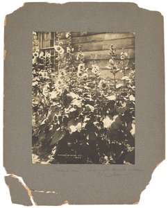 Tiffany Studios, ca. 1898-1920 von Louis Comfort Tiffany