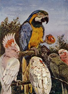 "Wer hat meinen Apfel gebissen?" von Louis Fairfax Muckley