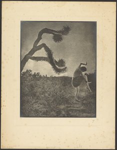 Apache-Tanz