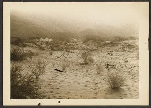 [Coyote Canyon] von Louis Fleckenstein