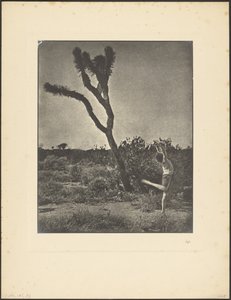 Tänzerin am Joshua Tree