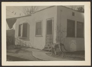 [Hund in der Nähe des Hauses] von Louis Fleckenstein