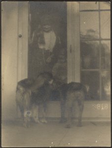 Hunde an der Tür von Louis Fleckenstein