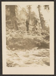 [Landschaft]