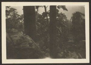 Landschaft von Louis Fleckenstein
