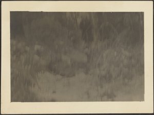 [Landschaft] von Louis Fleckenstein