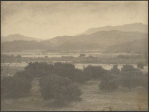 Landschaft mit niedrigen Bäumen von Louis Fleckenstein