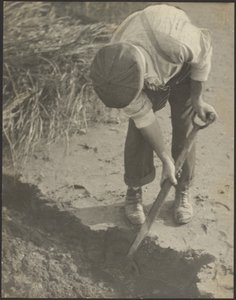 [Mann, der im Schlamm gräbt]