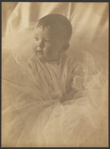 [Porträt eines Babys, umgeben von Tüll] von Louis Fleckenstein