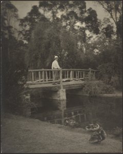 Rustikale Brücke von Louis Fleckenstein