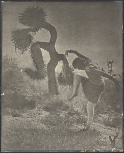 Der tölpelhafte Joshua