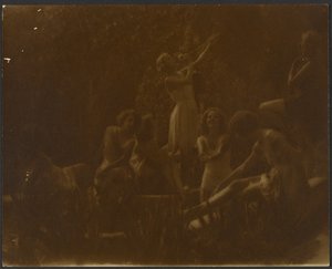 Seerosen von Louis Fleckenstein