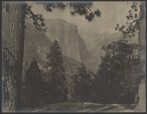 Yosemite, durch die Kiefern von Louis Fleckenstein