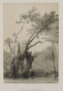 Ägypten und Nubien, Band III: Der heilige Baum von Metereah