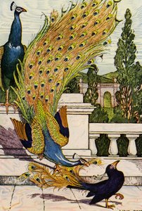Der Pfau und die Elster
