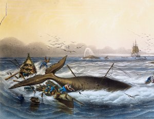 Walfang in den Südmeeren, Farblithographie von Louis Lebreton (gestorben 1866) von Louis Le Breton