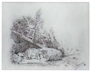 Gefallener Baum, Keene Valley von Louis Michel Eilshemius