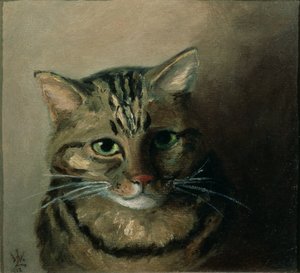 Eine Kopfstudie einer getigerten Katze