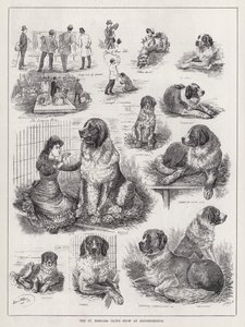 Die Ausstellung des St. Bernhard Clubs in Knightsbridge