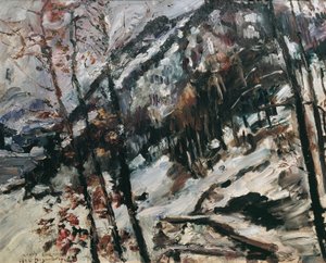 Der Herzogstand am Walchensee im Schnee