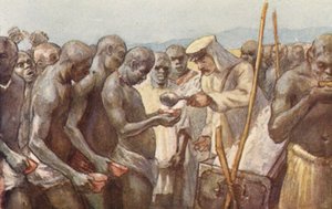 Illustration für das Leben von H.M. Stanley