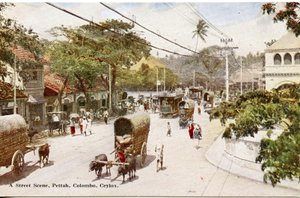 Straßenszene, Pettah, Colombo, Ceylon, ca. 1900-20 (handkolorierte Fotografie) von Ltd. Ceylon Plâté
