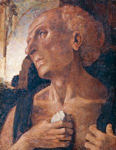Heiliger Hieronymus von Luca (attr.to) Signorelli
