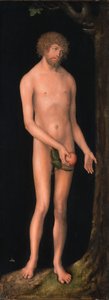 Adam