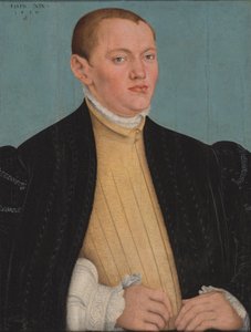 Bildnis eines jungen Mannes von Lucas Cranach the Younger