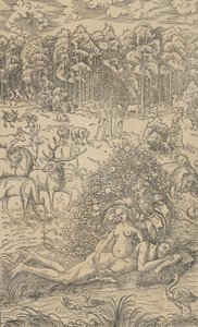 Die Erschaffung Evas von Lucas Cranach the Younger  